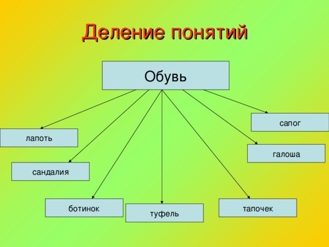 Концепт «обувь» подразделяется на