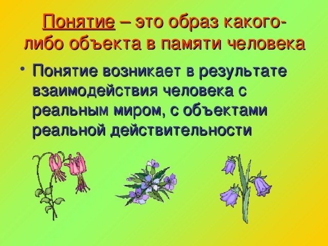 Концепты - это образы объектов в памяти человека. Концепты возникают в результате взаимодействия человека с реальным миром.