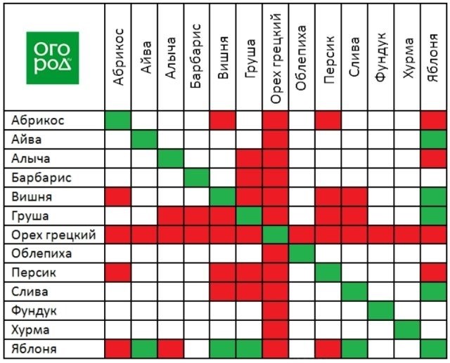 Совместимость плодовых деревьев