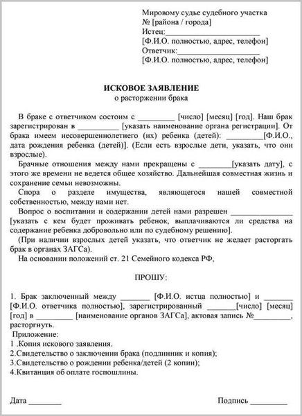 Как подать заявление о разводе через интернет в суде?