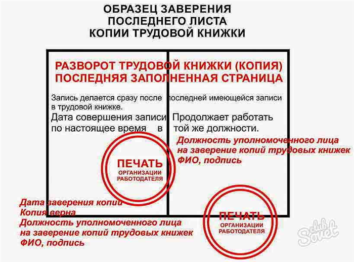 Что такое первичные документы