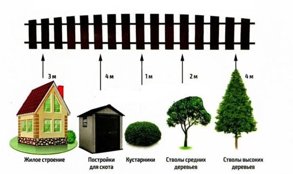 Схема посадки деревьев для плодового сада