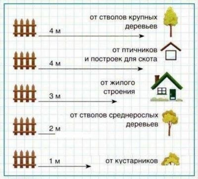 Правила посадки деревьев вблизи многоквартирных домов