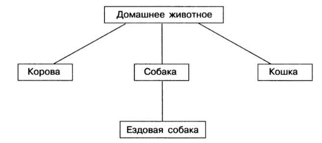 Примеры объектов и предметов