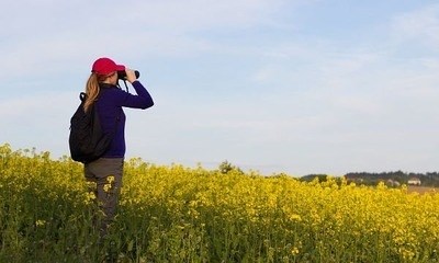 Риски при покупке участка под ижс