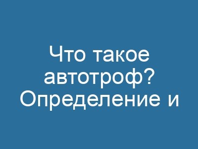 Автотрофы, гетеротрофы: сравнительная характеристика