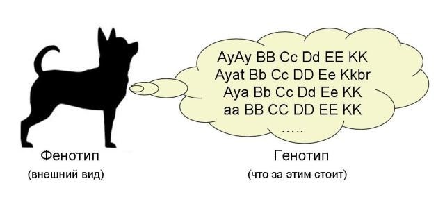 Дебаты: наследство матери против отца