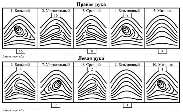 1. Отношения в сфере организации государственной власти