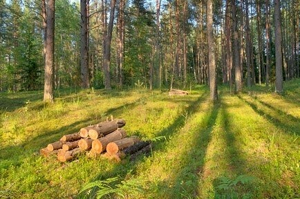 Как вести себя на природе зимой, весной, летом и осенью