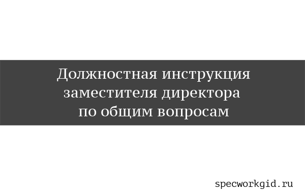 Образец должностной инструкции заместителя директора по общим вопросам