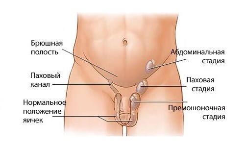 Как проходит обследование у врача