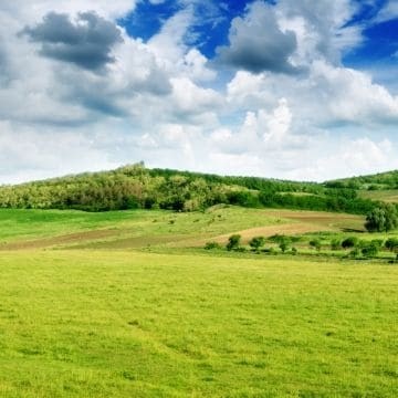 Основные права и обязанности владельцев публичных сервитутов