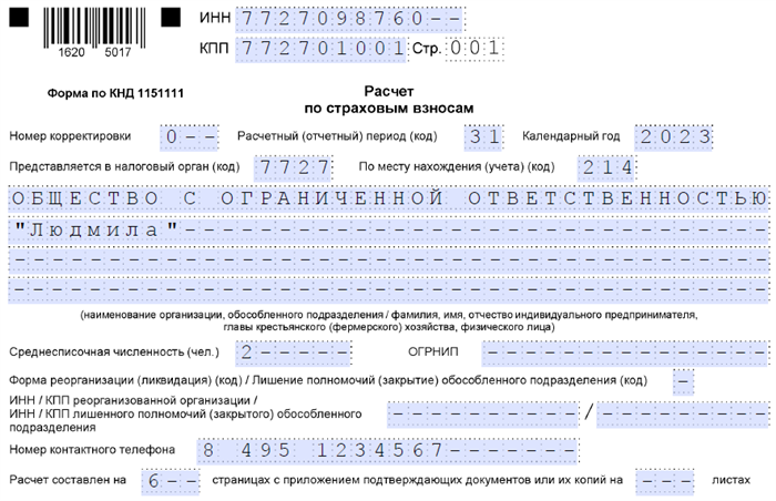 РСВ за 2 квартал 2024: форма для субъектов МСП