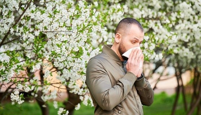 Какие аллергены могут стать причиной освобождения от службы?