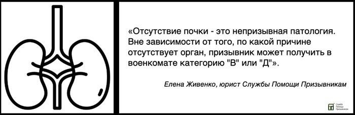 ОПЫТ ЭКСПЕРТА: Как врачи оценивают здоровье призывников с удвоенной почкой