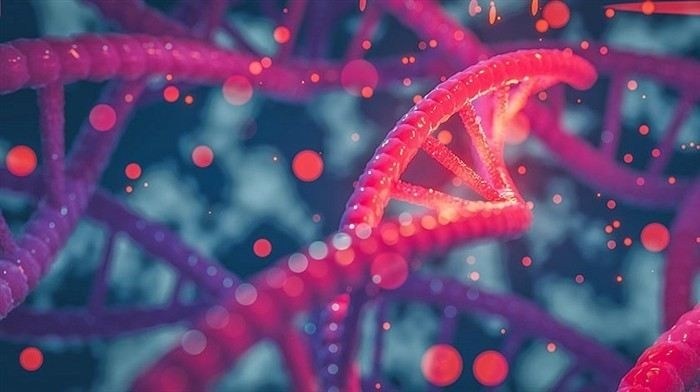 Материалы для ПЦР-анализа: какие образцы необходимы?