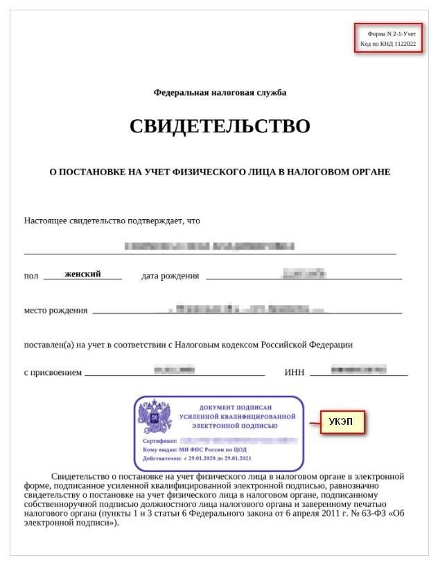 Куда подавать заявление на получение ИНН: Доступные варианты