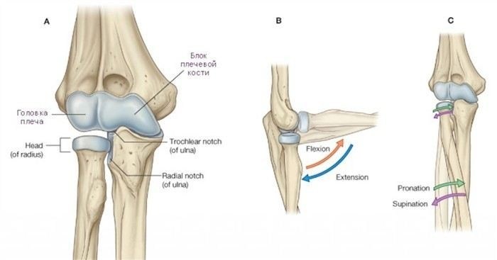 Порядок проведения теста удержания ключа при работе локтя