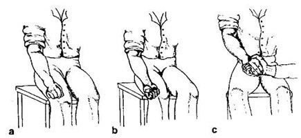 Анатомические ориентиры для оценки амплитуды работы руки