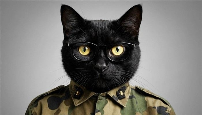 К каким категориям годности относятся различные нарушения зрения