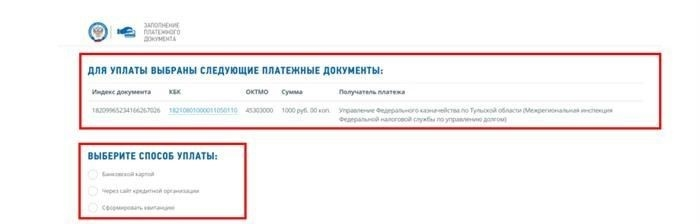 Способы оплаты налоговых платежей