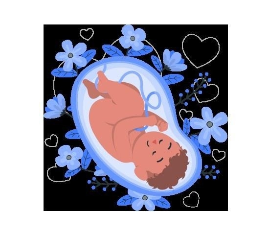 Цены на услуги по расчёту ИМТ