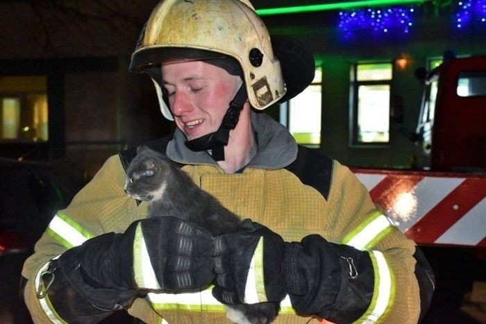 Как пройти медицинскую комиссию и тесты для пожарного