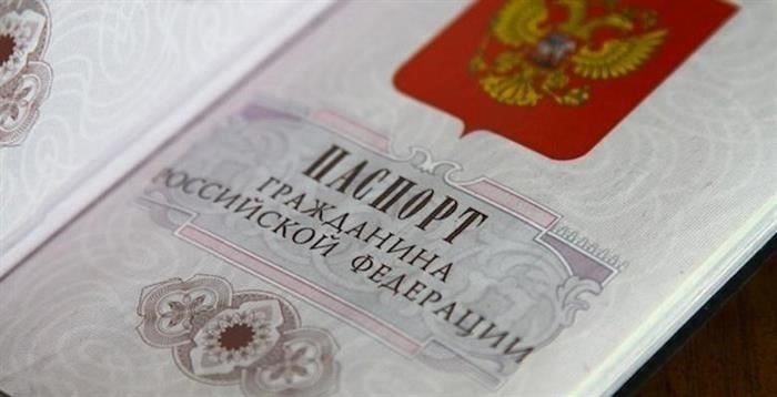 Пошаговая процедура подачи ходатайства об опекунстве в суд