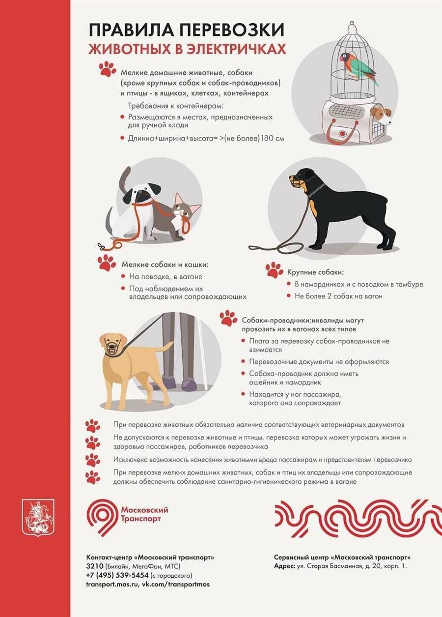 Можно ли с собакой в автобус спб