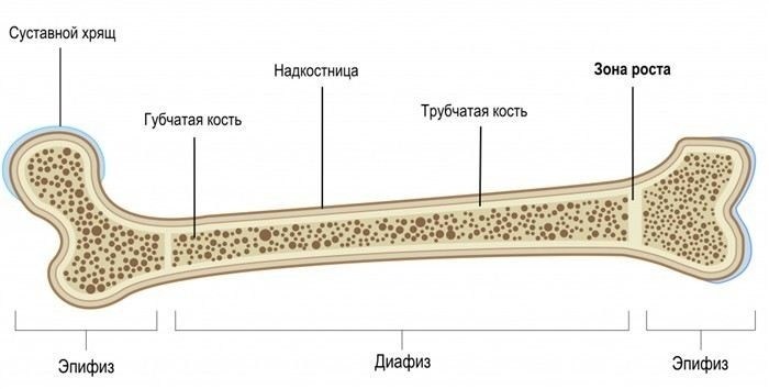Признаки гормональных нарушений, влияющих на развитие