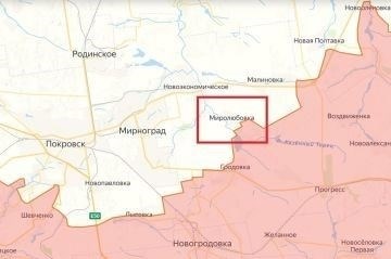 Основные элементы официальной выписки о прохождении военной службы