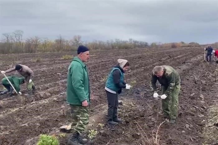 Как проходит процесс медицинского освидетельствования в военкомате