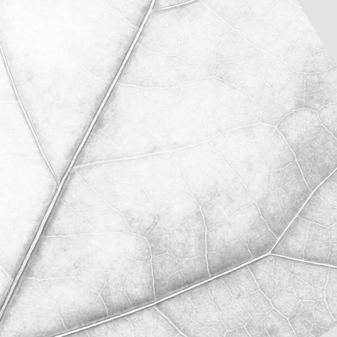 Гарантии качества обучения в Академии регенеративной медицины