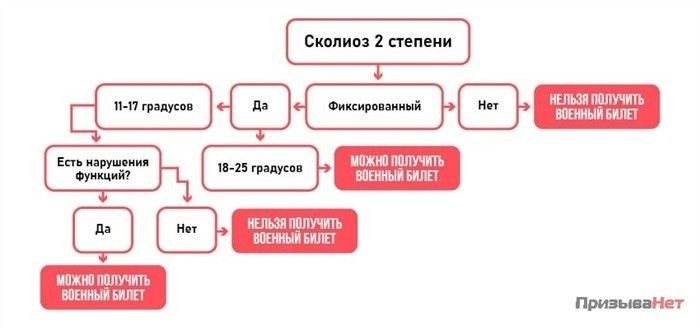 Какие виды сколиоза учитываются при прохождении медкомиссии?