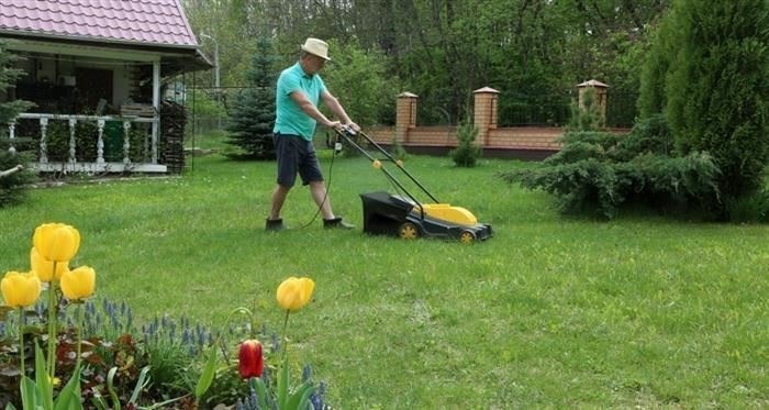 Роль суда во внесудебном банкротстве и его результаты