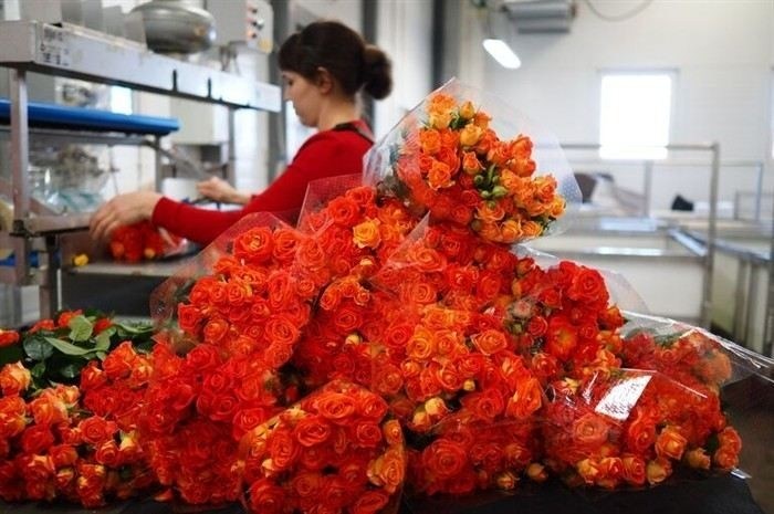 У армии и женское лицо: чем женщины занимаются на службе?