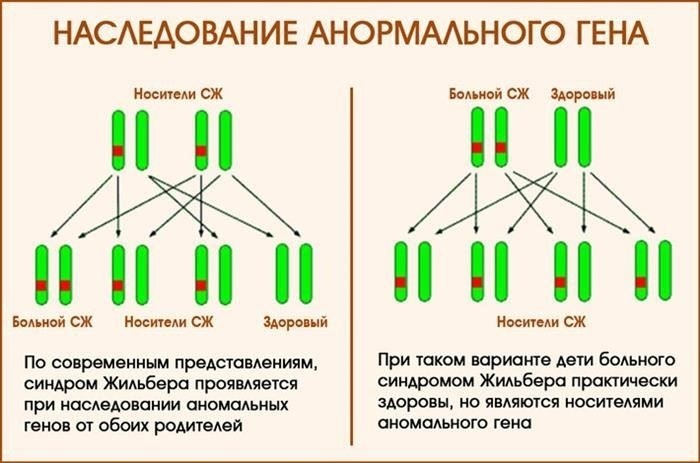Необходимые медицинские документы для подтверждения диагноза «синдром Жильбера